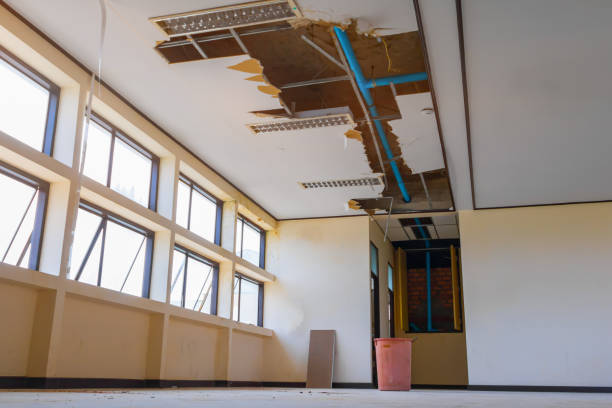 Best Water damage restoration insurance claims  in Collingdale, PA