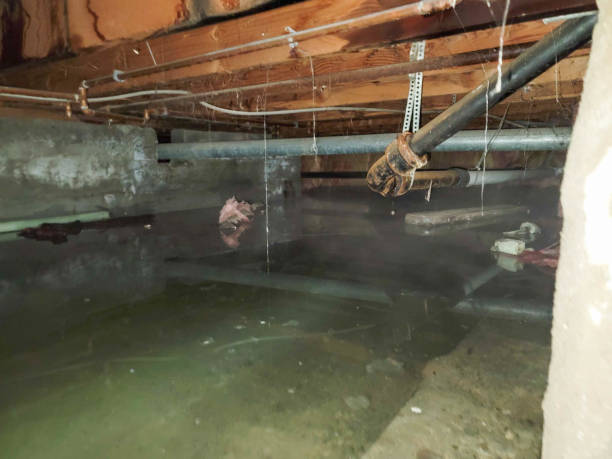  Collingdale, PA Water damage restoration Pros