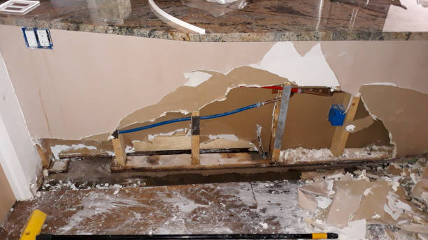 Best Water damage cleanup near me  in Collingdale, PA