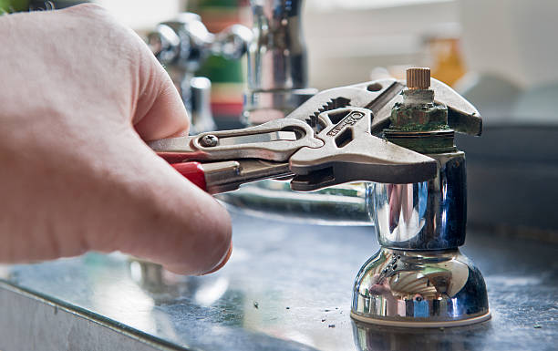 Best Flood damage cleanup  in Collingdale, PA