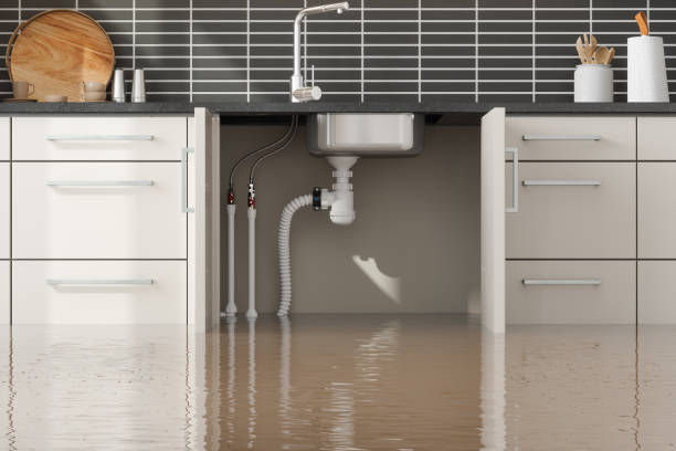 Best Flood damage cleanup  in Collingdale, PA