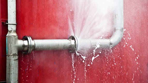  Collingdale, PA Water damage restoration Pros