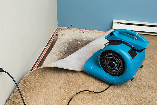 Best Residential water damage restoration  in Collingdale, PA
